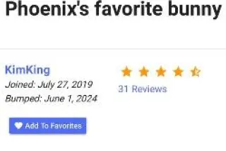 new favorite bunny - Image 5