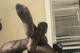 100$ deals Trucker Friendly ! ... - Image 2