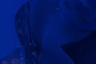 CURVY SEXY - 35 - Image 3