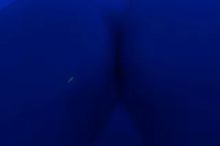 CURVY SEXY - 35 - Image 4