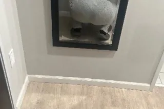 💵 big booty w a pretty face 🎂✅💵VERIFICATION REQUIRED !!! - Image 6