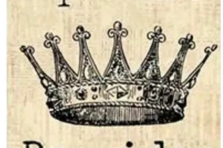 80Qv🌹🌹120/2NUTS 30MINS 🌹🌹 5 ⭐ ... - Image 2