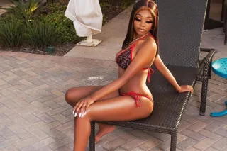 🌹 Upscale Companion Harmony Ju... - Image 2