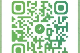 🍃available Now💯7 month pregnan... - Image 1