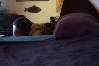 CARDATES OR OUTSIDE PLAY 👿👅😍bb... - Image 2