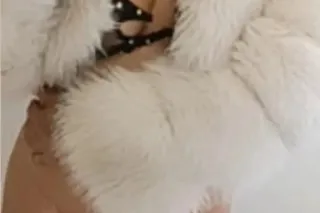 24/7 MEETUPS !!✅💦 - 23 - Image 1