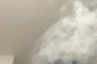 available - 28 - Image 2