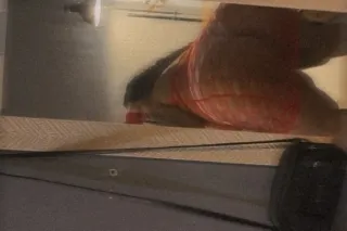 ✨Available now ✨ Book now ! Bbw Lovers✨ - Image 1