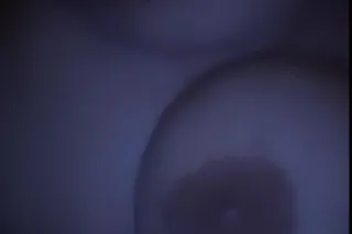 Super Soaker 😻💦💦 - 25 - Image 1