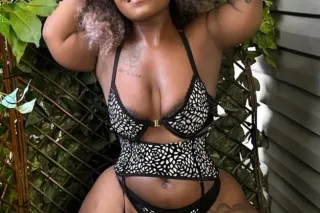 A once in a Lifetime Small Bun... - Image 4