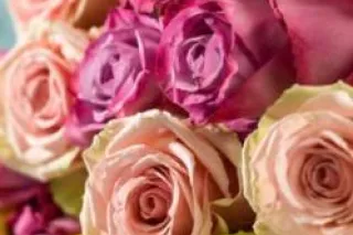 new in town 🥰🍯💋contact me now❕... - Image 1