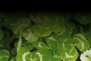 📲 💚💰 💚SOMEONE GENEROUS SHOULD ... - Image 2