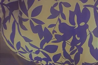 light bright dam near white always tight here for the night - Image 9