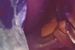 $80 QV DEAL,❗2NUTS HR SPECIAL,... - Image 3