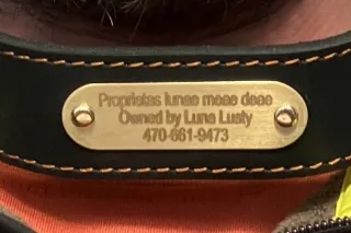 🖤I LOVE CONTROL OVER YOU:FEMDOM VIDEO CHATS: GOOD BOYS GET REWARDS🖤 - Image 5