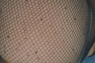 3 hole deal - 30 - Image 1