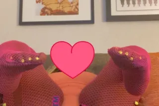 M O R N I N G $ S P E C I A L ... - Image 4