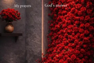 Let me satisfy all your needs ... - Image 1