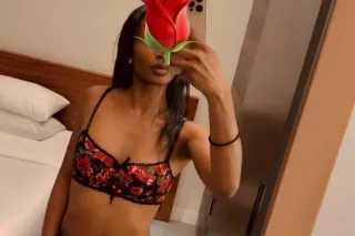 Welcome to the Jungle - Image 1