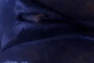 💦💦💦💦💦💦 - 30 - Image 3