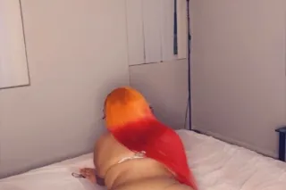 Your New Favorite Distraction ... - Image 1