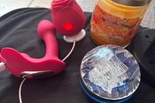 greyhound comes 12:45 - 33 - Image 4