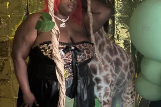 greyhound comes 12:45 - Image 5