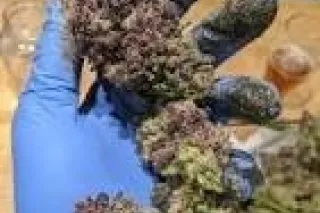 back by popular demand 🎉🎉🎉❤️❤️... - Image 1