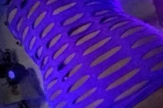 Harahan and surrounding areas - Image 7