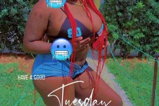 READY TO HAVE FUN - 27 - Image 1