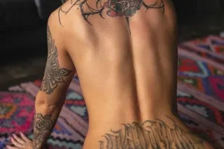 verification and light screeni... - Image 2