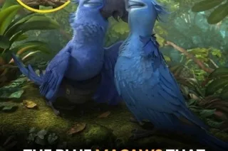 Let me satisfy all your needs ... - Image 1