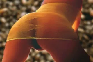 Definitely NOTHING like your u... - Image 4