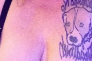 Experienced 38yr Provider | In... - Image 1