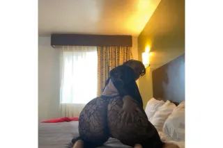 👅 cardates🚗, INCALLS🏘available... - Image 1