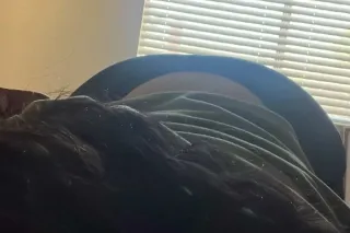 honey Latina native mix availa... - Image 1