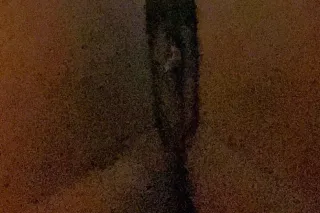 upscale CLEAN GENTLEMEN ONLY - Image 3