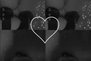 ✨ Specials ✨ OUTCALL ONLY💕 SEX... - Image 3