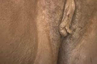 Thick BBW looking for fun - 23 - Image 3