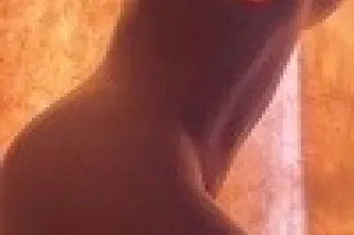 TU MILF FAVORITA🔥 DIOSA DEL OR... - Image 1