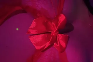 tropical Fantasy 😈💝 100% REAL UPDATED PICS! - Image 7