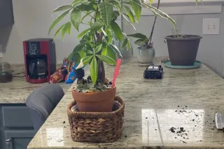 i need help starting my own bu... - Image 1