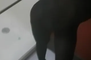 Mercedes Wildn HumpNBumpN Wens... - Image 4