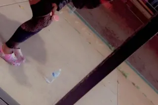 an exclusive companion for dis... - Image 3