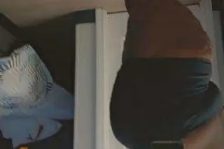 Unlock Your Ultimate Fantasy ✨ - Image 6