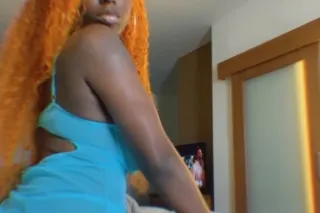 Area - Naperville IL - Dieh RD... - Image 2