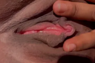 ✨🫦Exotic Curvy BrowSkin✨🫦AVAIL... - Image 1