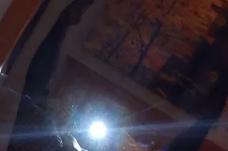 ✅✅ ✅✅ AVAILABLE NOW✅✅✅✅VIDEO V... - Image 2