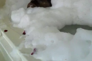 Specials all day return customers discounts showing all love hmu!!!💊⛽❄ who got some bud on a pull up !! - Image 9