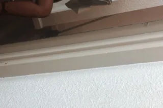 MISS PRETTY PUSSY ! ( - 24 - Image 3